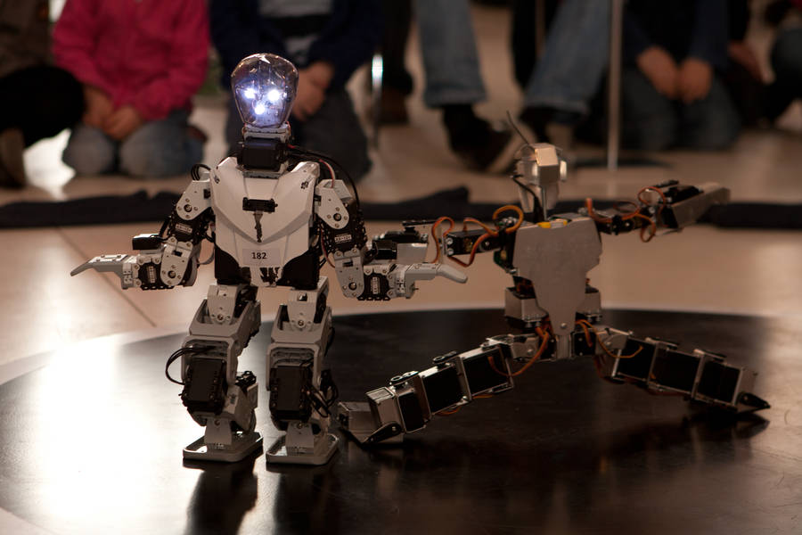 Obr. Humanoid Sumo